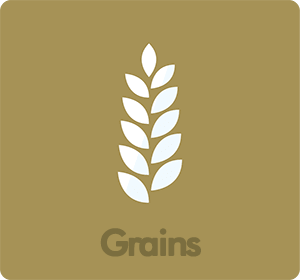 Rice,Grain