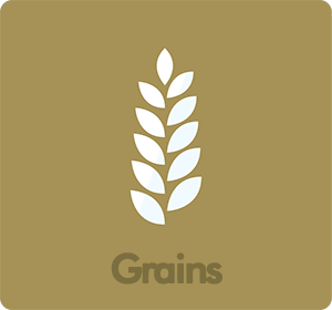 Rice,Grain Rice,Grain